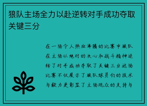 狼队主场全力以赴逆转对手成功夺取关键三分